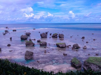 IMG_20120831_125416.jpg